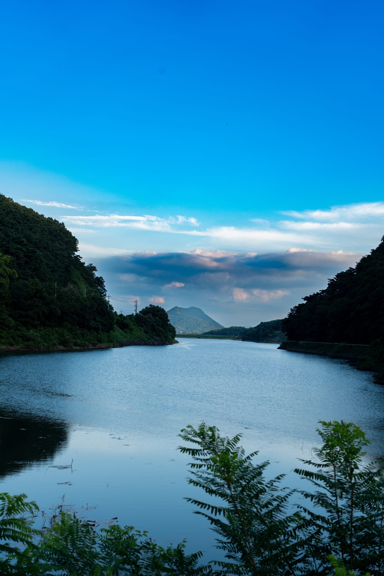 River valley in summer