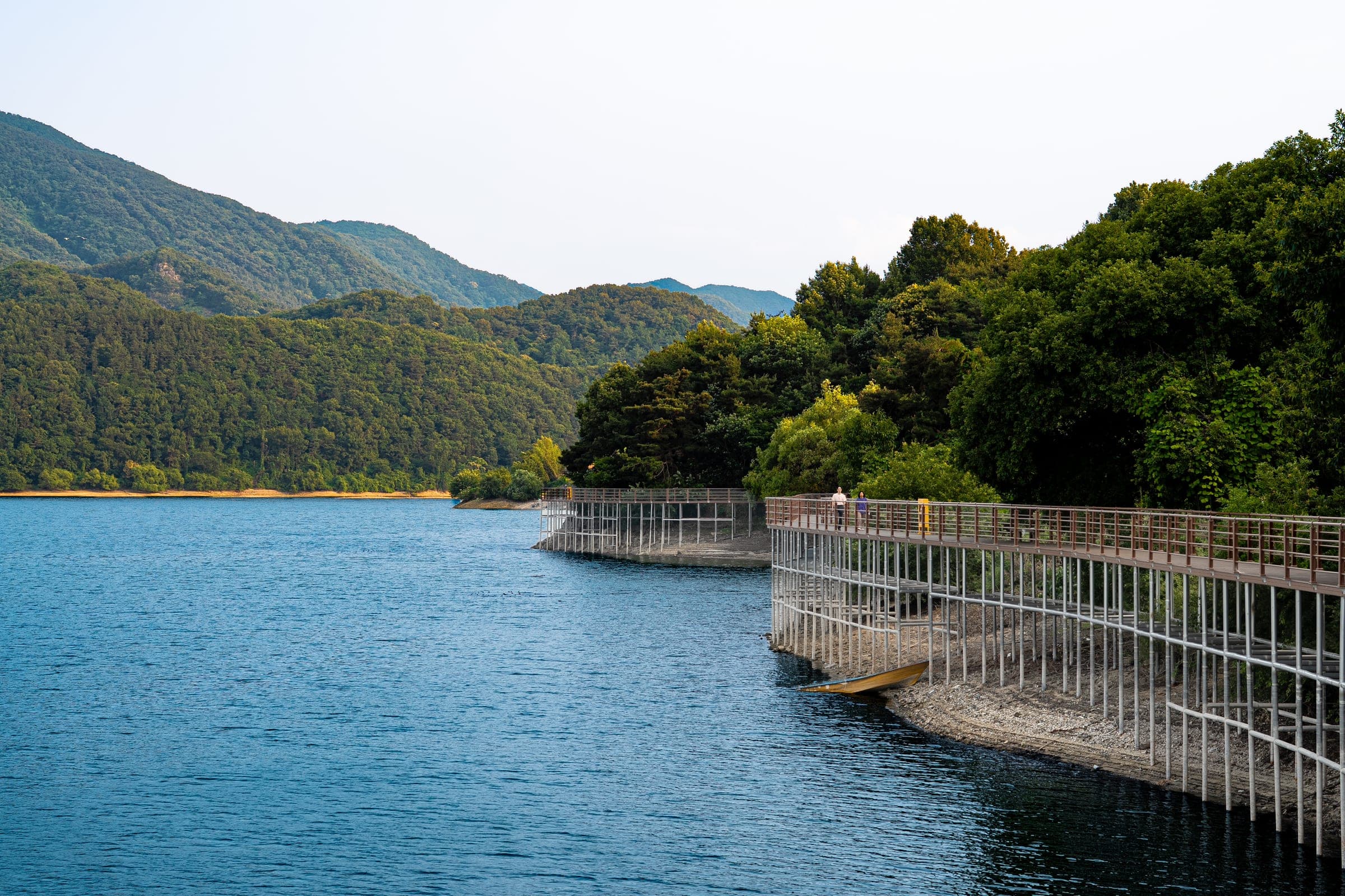 Boardwalk along the lake