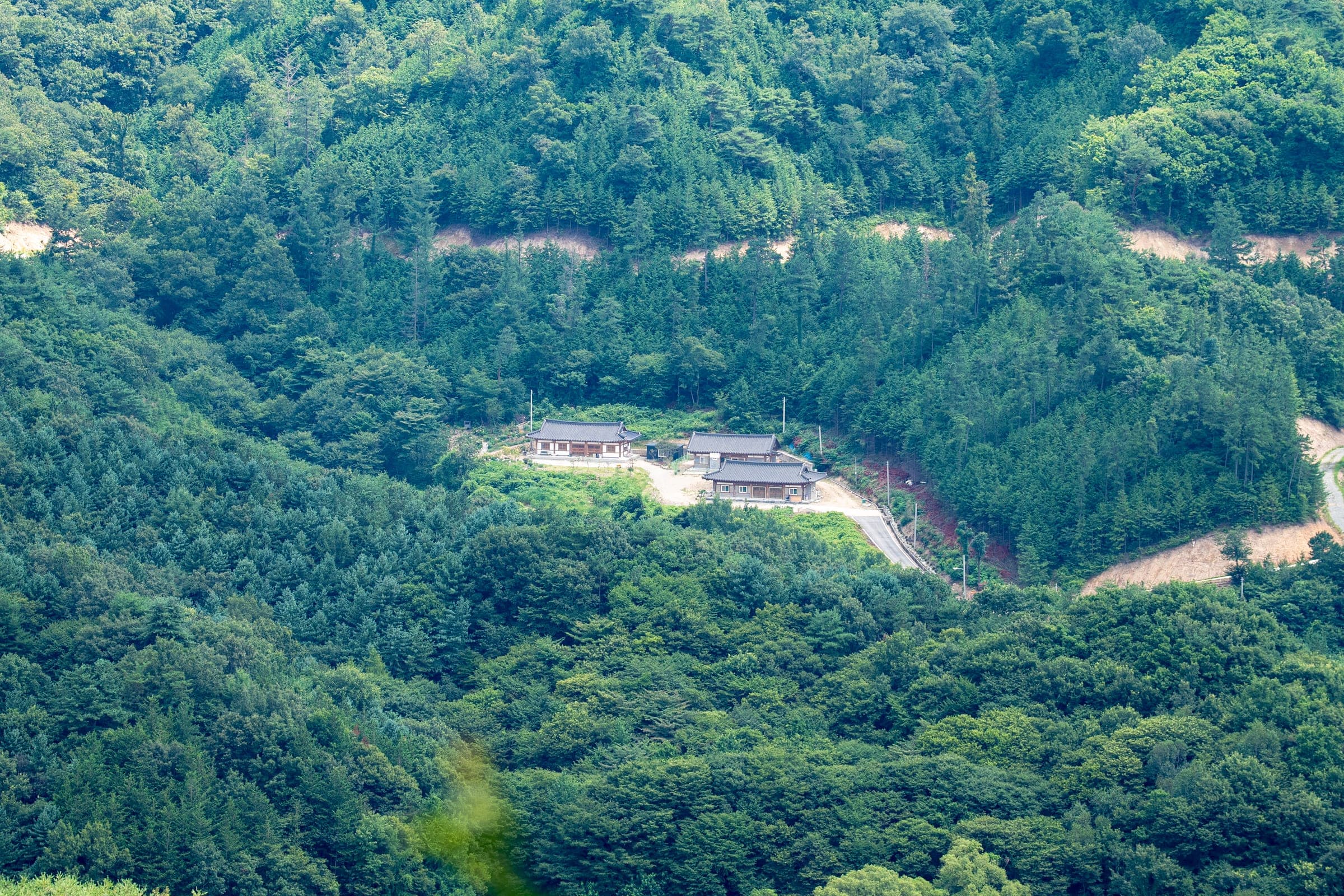 Temple in the forest